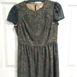 Loft lace dress